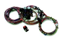 PAINLESS 12-CIRCUIT HARNESS