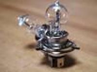 IPF BULBS