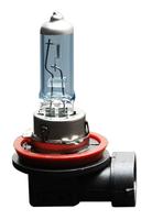 ANZO BULBS