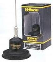 WILSON 